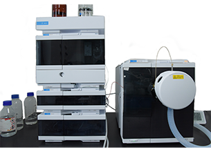 304永利集团官网